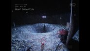 Immagine DON'T SCREAM (PC)