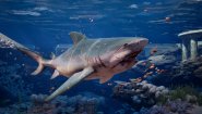 Immagine Maneater 2 (PS5)