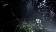 Immagine Together After Dark (PC)