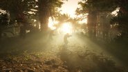 Immagine Helldivers 2 (PS5)