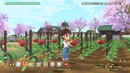 Immagine Immagine Story of Seasons: A Wonderful Life Xbox Series X|S