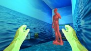 Immagine Immagine THE SOUL OF TOO BIRDS GAME PC