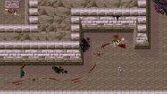Immagine Dark Sun: Shattered Lands (PC)