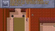 Immagine Immagine Dark Sun: Shattered Lands PC