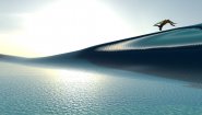 Immagine YouRiding - Surfing and Bodyboarding Game (PC)