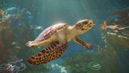 Immagine Planet Zoo 2 (Xbox Series X|S)