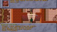 Immagine Dark Sun: Shattered Lands (PC)