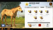 Immagine Immagine Rival Stars Horse Racing: Desktop Edition Mac