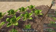 Immagine Ancient Farm (PC)