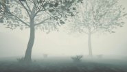 Immagine Depths Of Horror: Mushroom Day (PC)