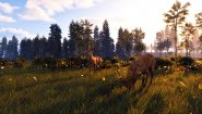 Immagine Windstorm: Start of a Great Friendship - Remastered (Xbox Series X|S)