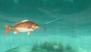 Immagine About Fishing (PS5)