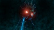 Immagine Immagine Twilight Path PS4