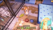 Immagine Animal Shelter 2 (PC)